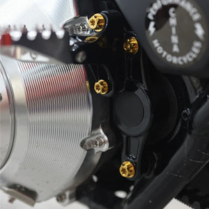 Boulons Titane Bras Oscillant / Repose-pieds Arrière pour Harley Touring et Trike – photo 3/24