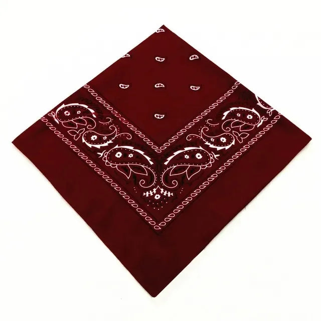 Bandana biker imprimé foulard tête et poignet - vue 14